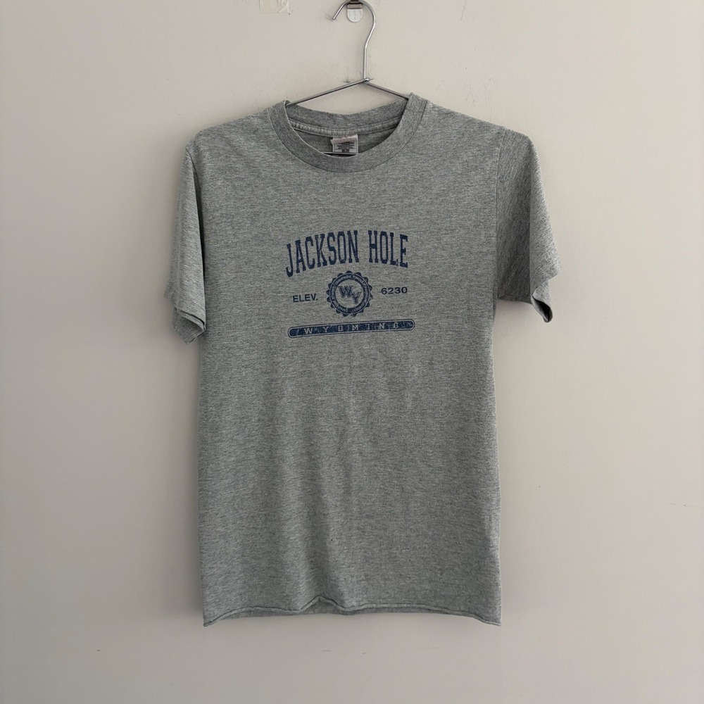 Fruit of the Loom Jackson Hole Wyoming Graphic T-Shirt Gray Small